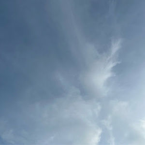 Meet your Posher, Houston